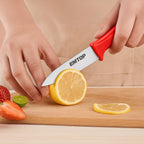 EMTOP 5 PCS Kitchen Knife Set – Stainless Steel