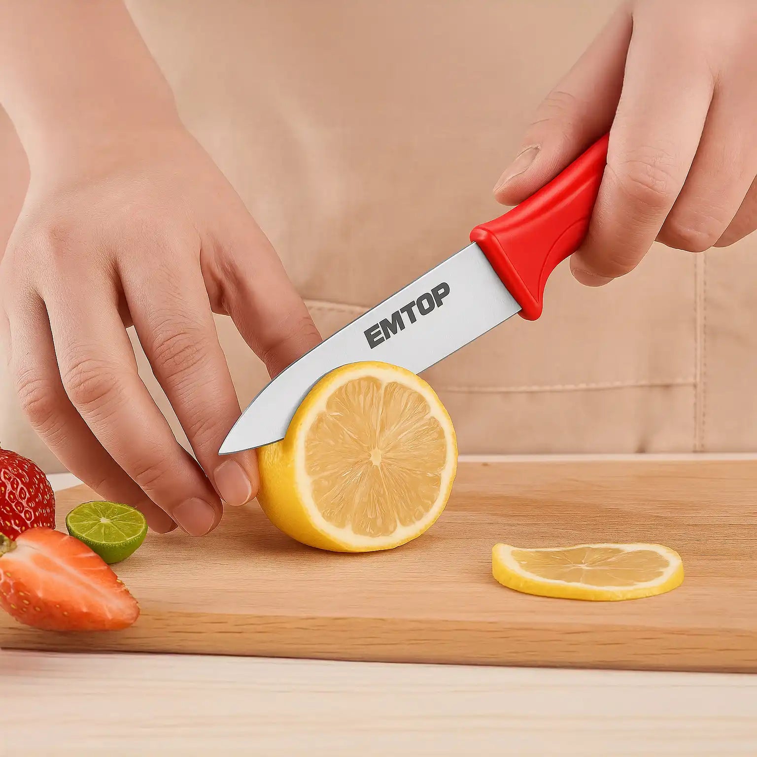 EMTOP 5 PCS Kitchen Knife Set – Stainless Steel